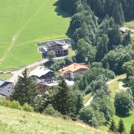 Haus Dienten Top 11 Dienten am Hochkönig Exterior photo